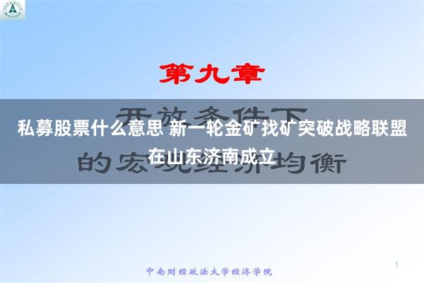 私募股票什么意思 新一轮金矿找矿突破战略联盟在山东济南成立