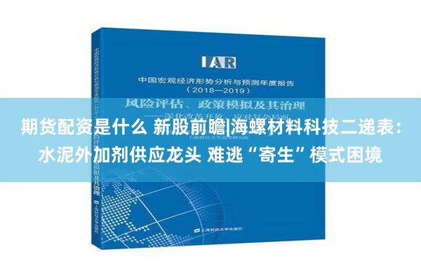 期货配资是什么 新股前瞻|海螺材料科技二递表：水泥外加剂供应