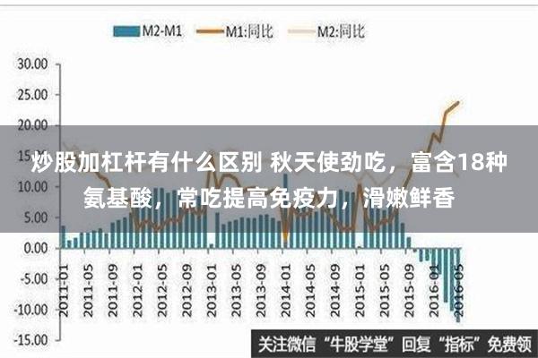 炒股加杠杆有什么区别 秋天使劲吃，富含18种氨基酸，常吃提高