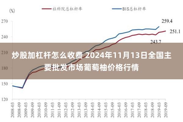 炒股加杠杆怎么收费 2024年11月13日全国主要批发市场葡