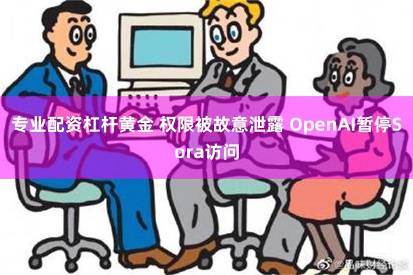 专业配资杠杆黄金 权限被故意泄露 OpenAI暂停Sora访