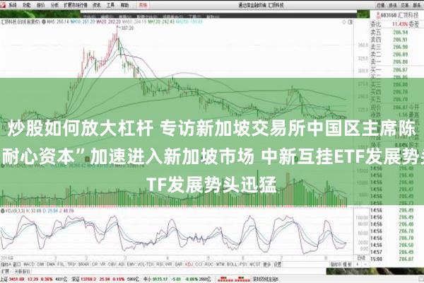 炒股如何放大杠杆 专访新加坡交易所中国区主席陈庆：“耐心资本