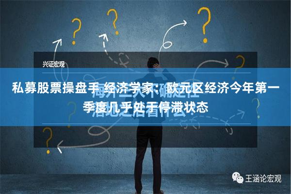 私募股票操盘手 经济学家：欧元区经济今年第一季度几乎处于停滞